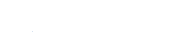 Logo Dipartimento della Funzione Pubblica